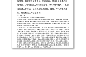 2021年度X黨支部書記抓基層黨建工作述職報(bào)告