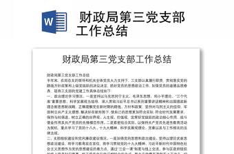  財(cái)政局第三黨支部工作總結(jié)