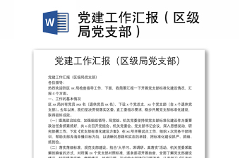 黨建工作匯報（區(qū)級局黨支部）