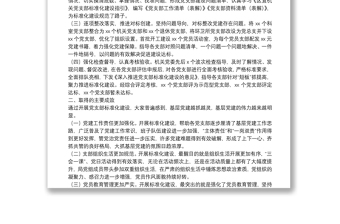 黨建工作匯報（區(qū)級局黨支部）