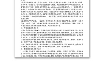 黨支部書記專題組織生活會個人對照檢查和總結(jié)講話