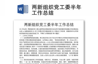 兩新組織黨工委半年工作總結