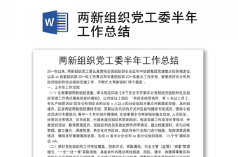 兩新組織黨工委半年工作總結(jié)