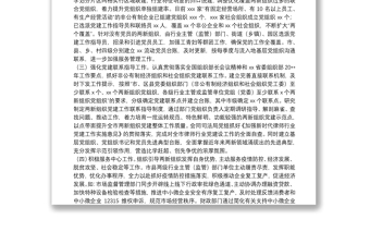 兩新組織黨工委半年工作總結(jié)