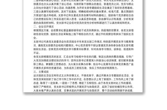 黨史學(xué)習(xí)教育專(zhuān)題組織生活會(huì)專(zhuān)題報(bào)告