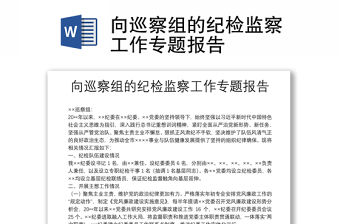 向巡察組的紀檢監察工作專題報告