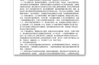 向巡察組的紀檢監察工作專題報告