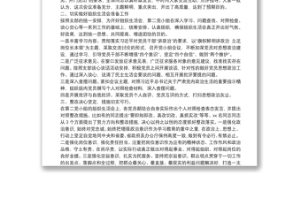 黨小組組織生活會情況的報告