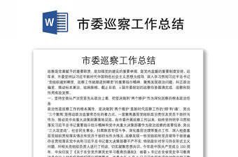 市委巡察工作總結