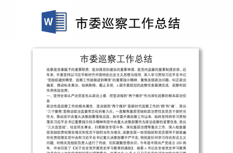 市委巡察工作總結(jié)