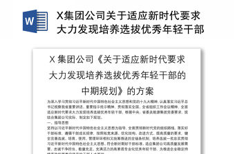 X集團(tuán)公司關(guān)于適應(yīng)新時(shí)代要求大力發(fā)現(xiàn)培養(yǎng)選拔優(yōu)秀年輕干部的中期規(guī)劃的方案