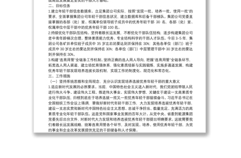 X集团公司关于适应新时代要求大力发现培养选拔优秀年轻干部的中期规划的方案