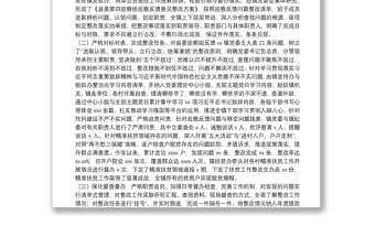 鄉(xiāng)鎮(zhèn)黨委關(guān)于縣委巡察組巡察反饋意見整改落實情況的報告