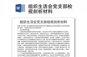 組織生活會(huì)黨支部檢視剖析材料