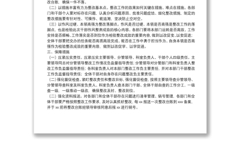 干部隊(duì)伍作風(fēng)整肅工作整改方案