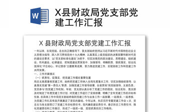 X縣財政局黨支部黨建工作匯報