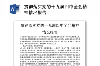 貫徹落實黨的十九屆四中全會精神情況報告
