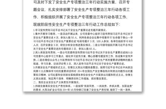 安全生產(chǎn)專(zhuān)項(xiàng)整治三年行動(dòng)活動(dòng)總結(jié)