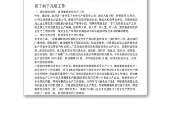 20**年度安全生產工作述職報告