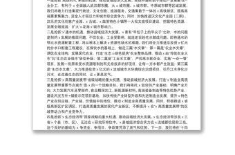 在人代會分組討論上的發言