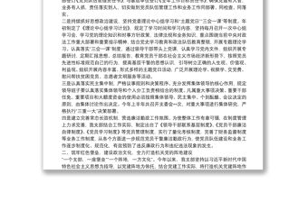 X縣政法機關黨支部2021年上半年黨建工作總結及下步工作打算