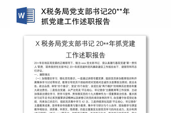 X稅務(wù)局黨支部書記20**年抓黨建工作述職報(bào)告