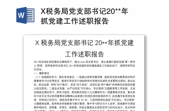 X税务局党支部书记20**年抓党建工作述职报告