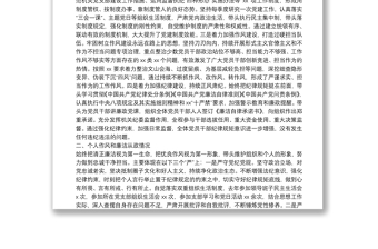 書記述責(zé)述廉報告