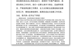 在市委第X巡察組巡察X區(qū)工作動員會上的表態(tài)發(fā)言