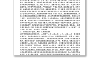 X高校主要負(fù)責(zé)人組織落實省委巡視整改情況的報告