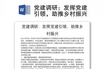 黨建調研：發揮黨建引領，助推鄉村振興