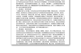 在落實企業安全生產主體責任年活動現場會上的發言