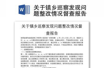 關于鎮鄉巡察發現問題整改情況督查報告
