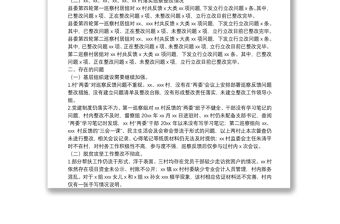關于鎮鄉巡察發現問題整改情況督查報告
