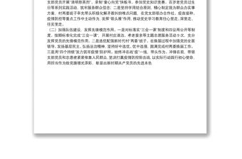 村黨支部書記抓黨建工作述職報(bào)告