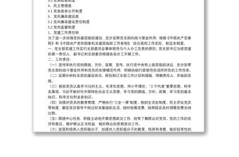（13項）20**黨支部黨建工作制度匯編