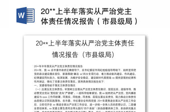 20**上半年落實從嚴治黨主體責任情況報告（市縣級局）