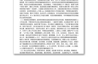 20**上半年落實從嚴治黨主體責任情況報告（市縣級局）