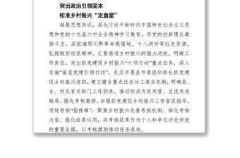 扛牢首倡地政治責任 推進抓黨建促鄉村振興