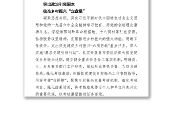 扛牢首倡地政治責任 推進抓黨建促鄉(xiāng)村振興