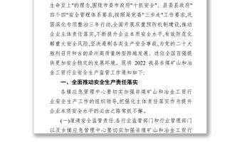 2022年非煤礦山和冶金工貿行業安全生產監管工作要點
