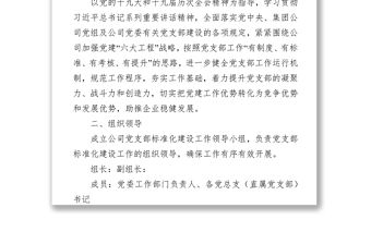 國企黨支部標準化建設實施方案