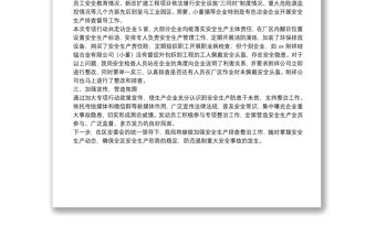 XX區工業和信息化局開展安全生產大排查大整治工作情況匯報