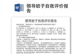 領導班子自我評價報告