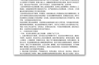 2022年度組織生活會(huì)黨支部委員會(huì)年度工作報(bào)告