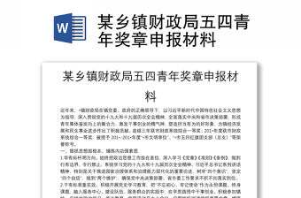 某鄉(xiāng)鎮(zhèn)財(cái)政局五四青年獎(jiǎng)?wù)律陥?bào)材料