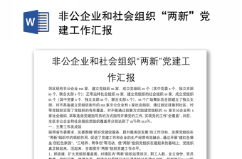 非公企業(yè)和社會(huì)組織“兩新”黨建工作匯報(bào)