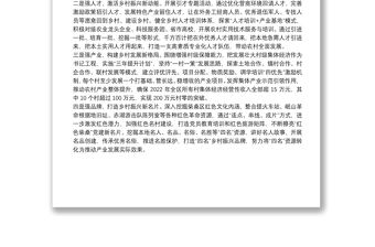 抓黨建促鄉(xiāng)村振興工作匯報推動鄉(xiāng)村振興提質(zhì)增效