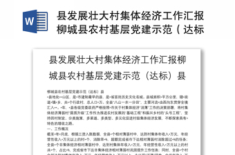 縣發(fā)展壯大村集體經(jīng)濟(jì)工作匯報(bào)柳城縣農(nóng)村基層黨建示范(達(dá)標(biāo))縣