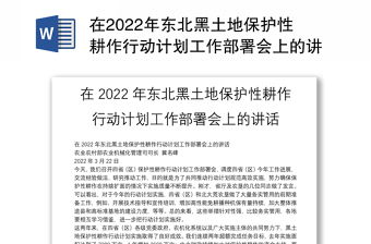 2022行动计划模板